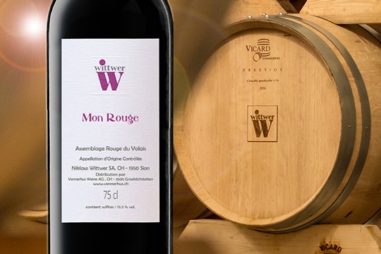 5 Kachel Monats-Hit 11.2025